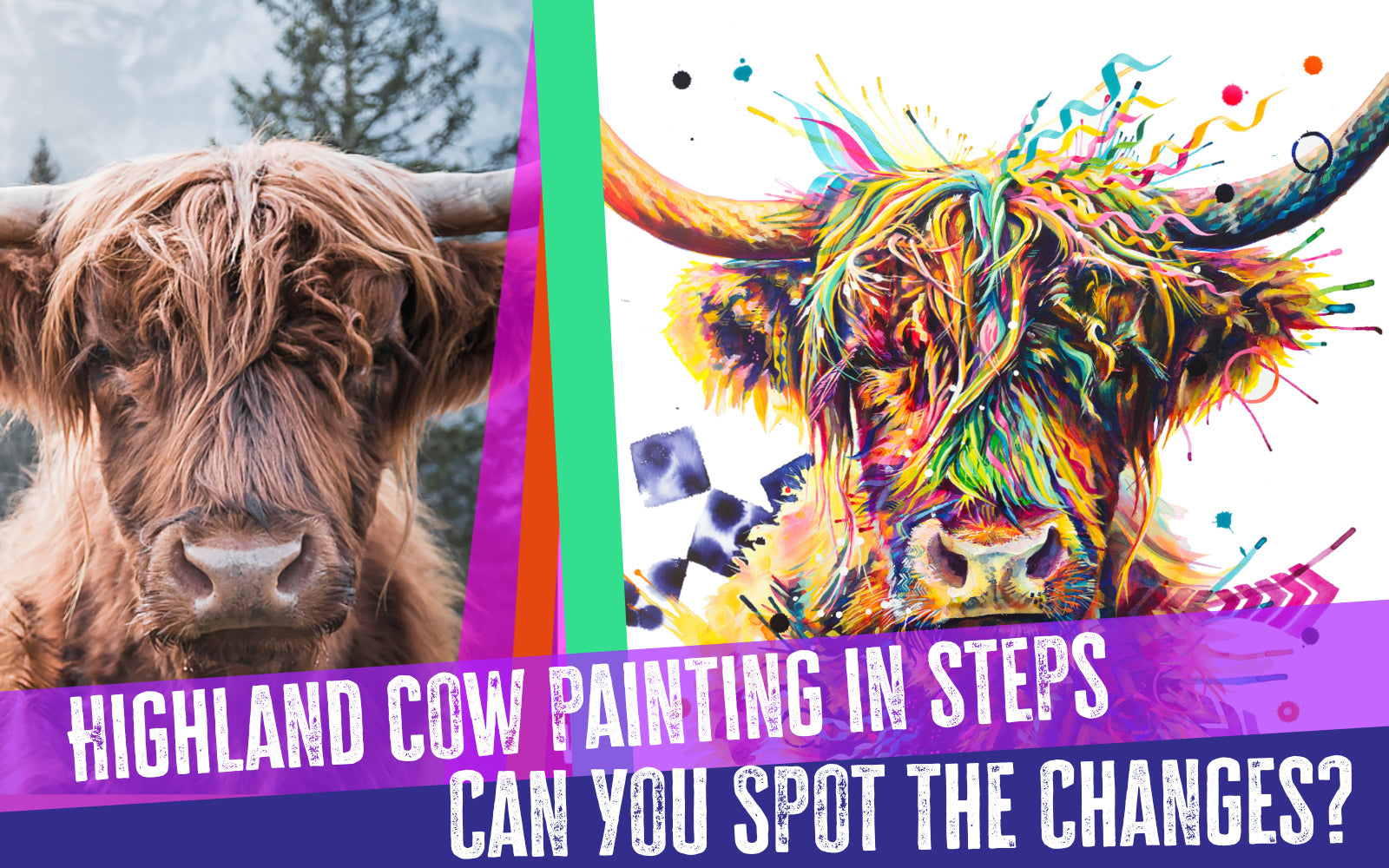 A New Highland Cow Painting: Can You Spot the Changes?