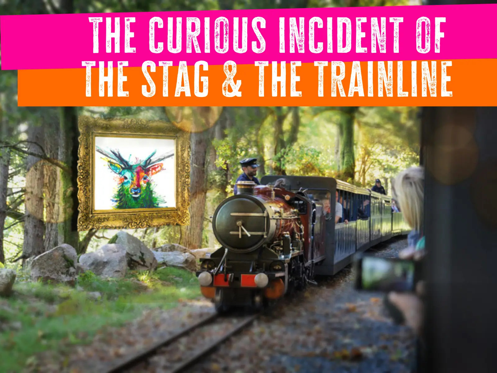 Crowd Funding Outdoor Art Installation-Sarah Taylor Art