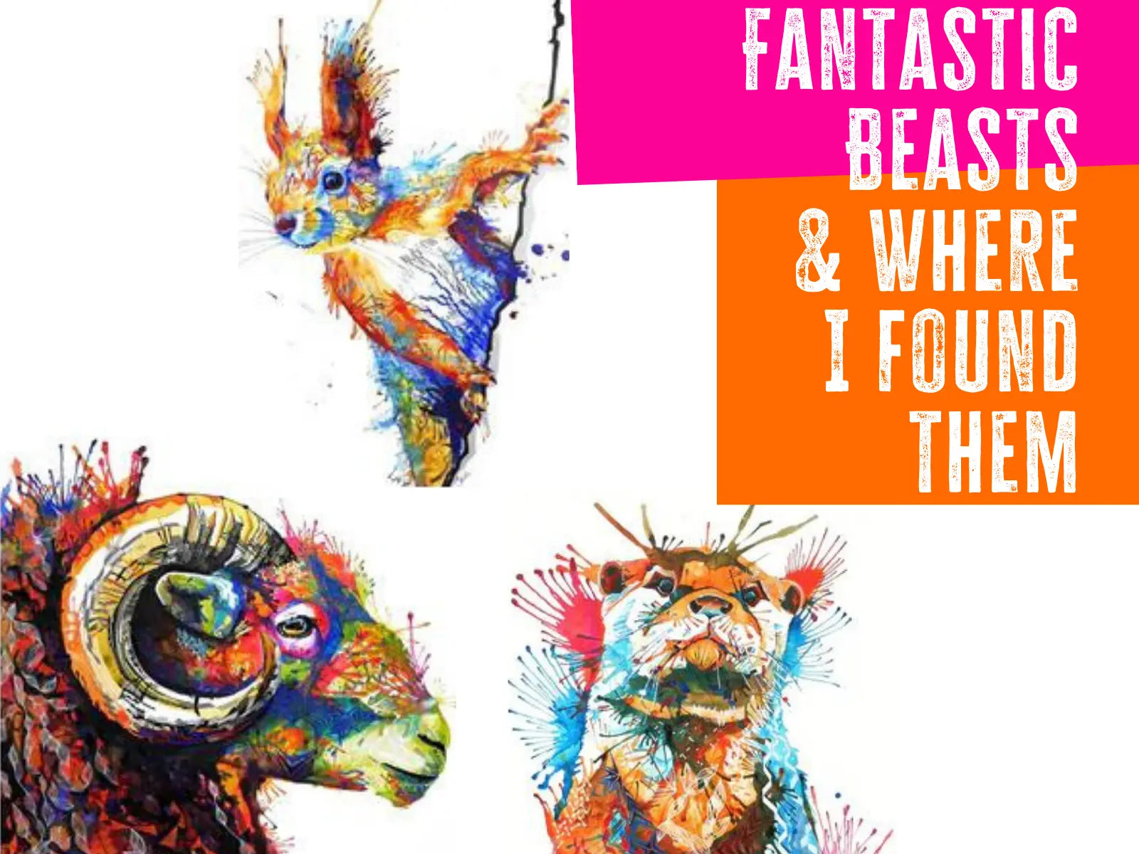 New Exhibition 2017-Sarah Taylor Art