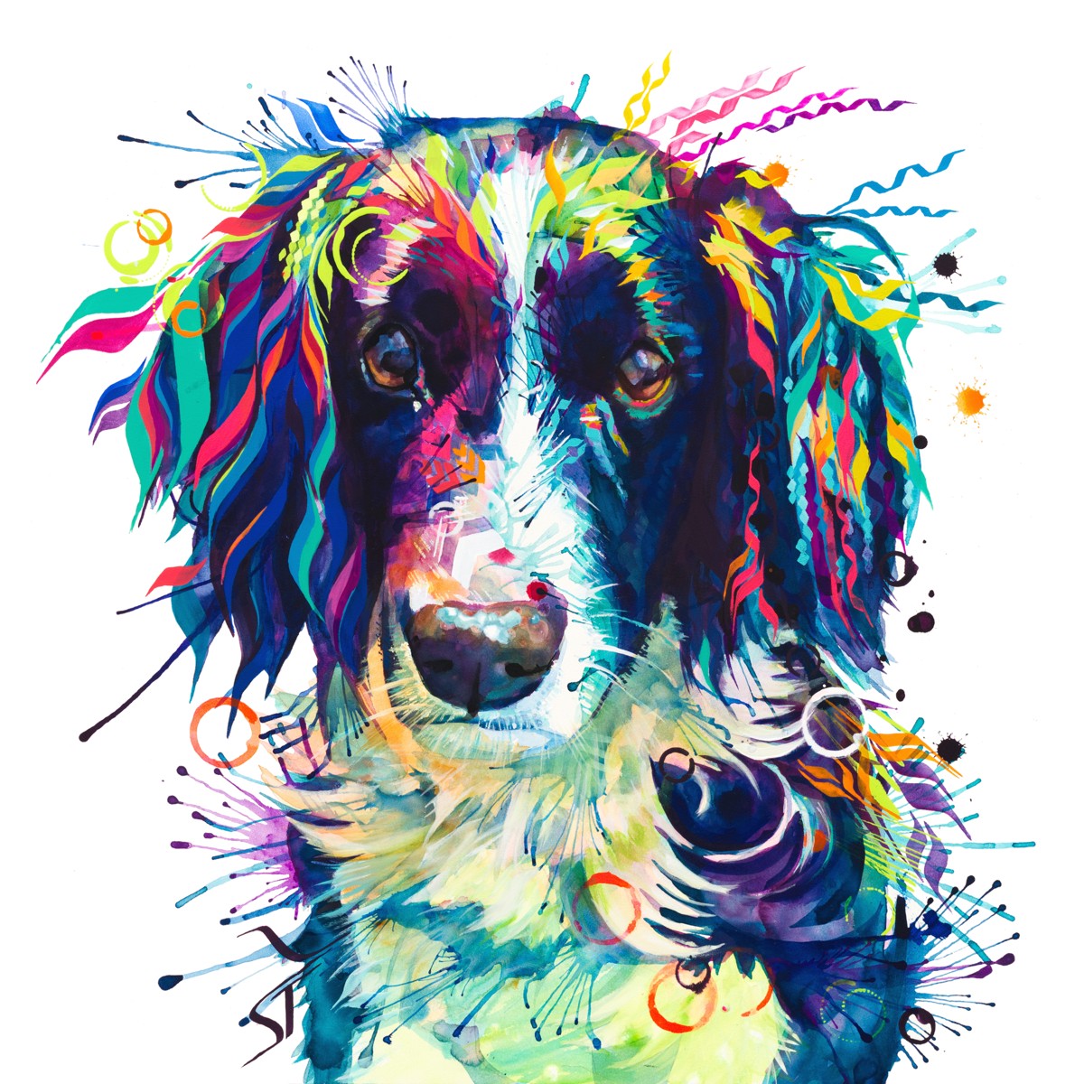 Jake-the-Sprollie Sarah Taylor Art