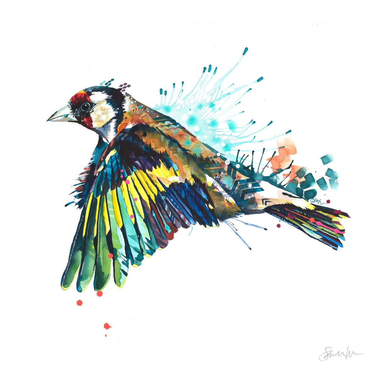 Goldie the Goldfinch