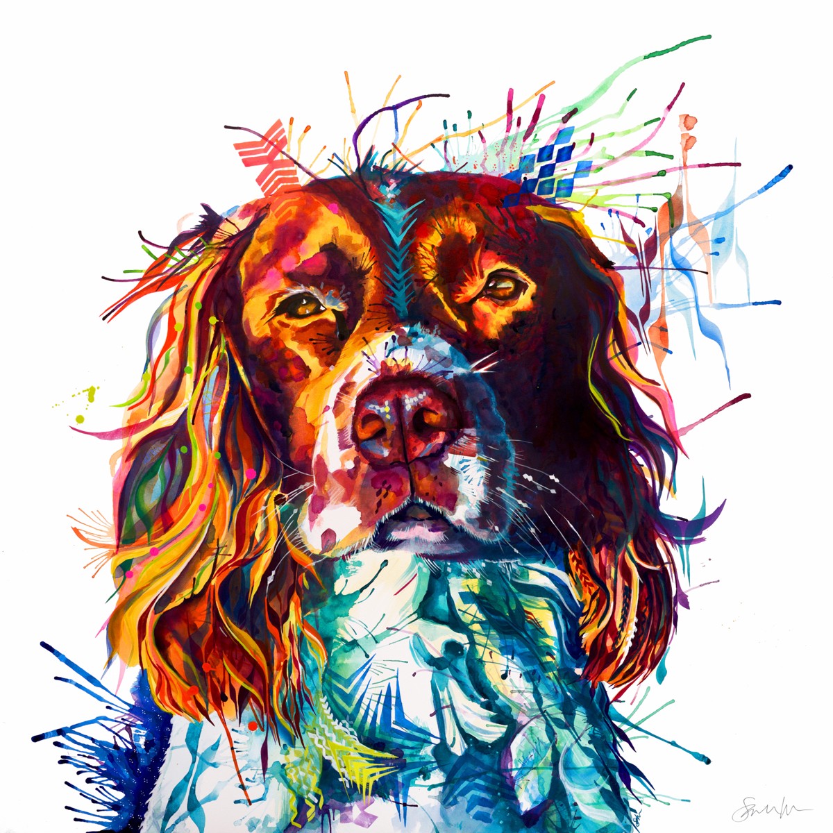 Spruce the Springer Spaniel