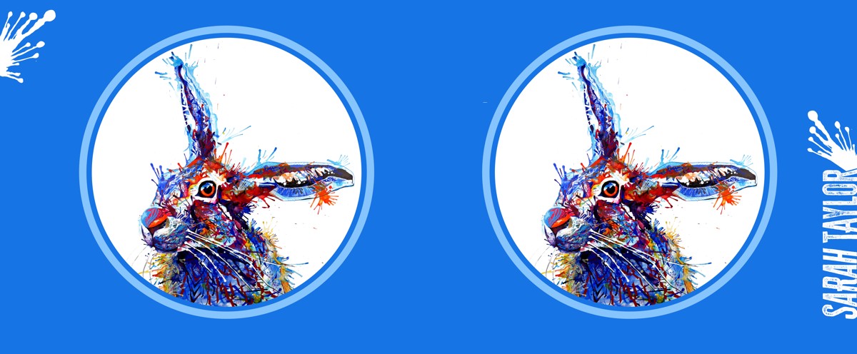 Barnaby - Colour Pop