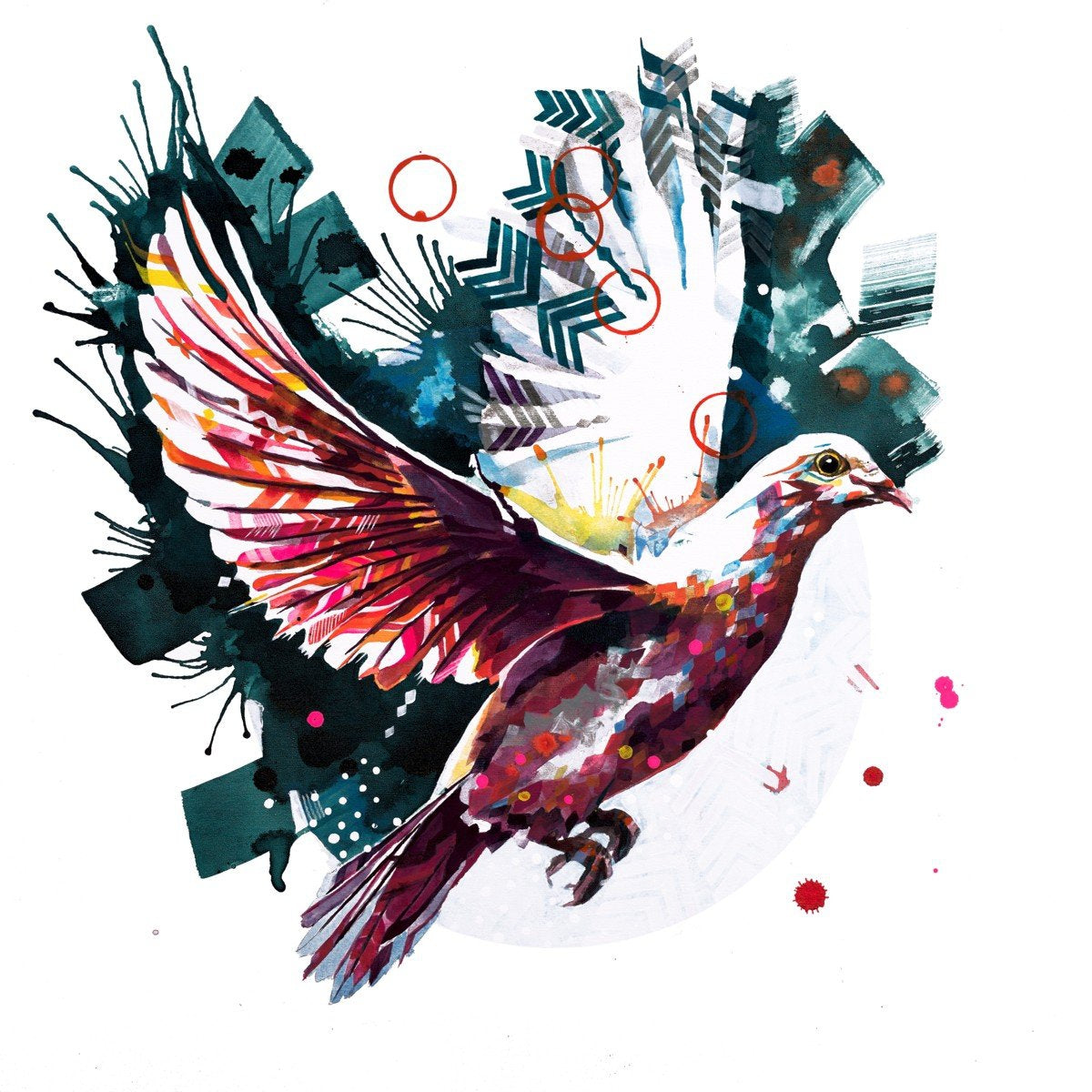 The Dove from Above-Sarah Taylor Art