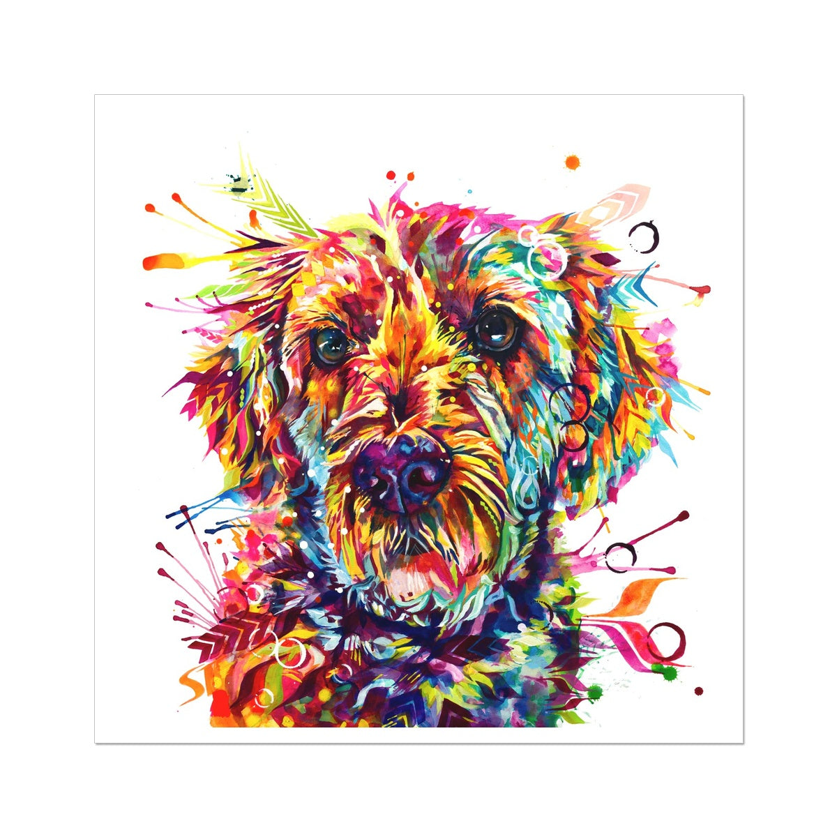 Stella The Goldendoodle