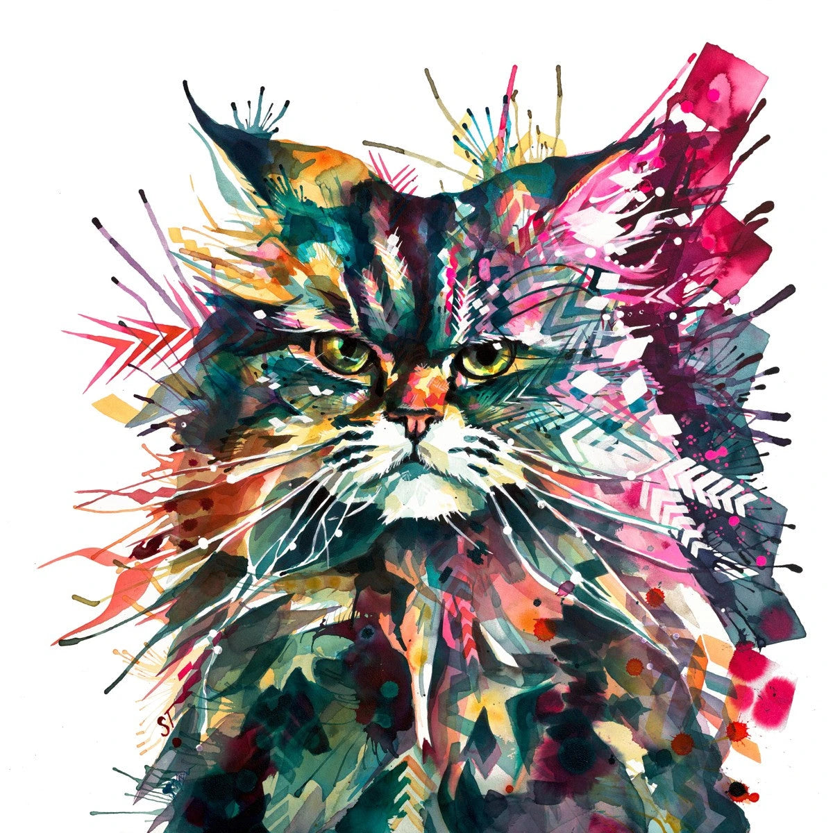 Miss-Havisham-the-Maine-Coon Sarah Taylor Art