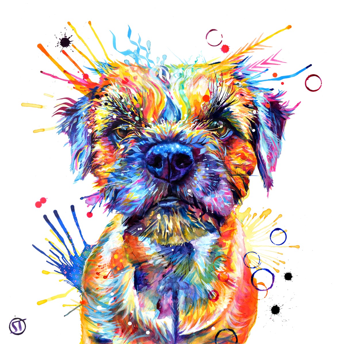 Allan the Border Terrier