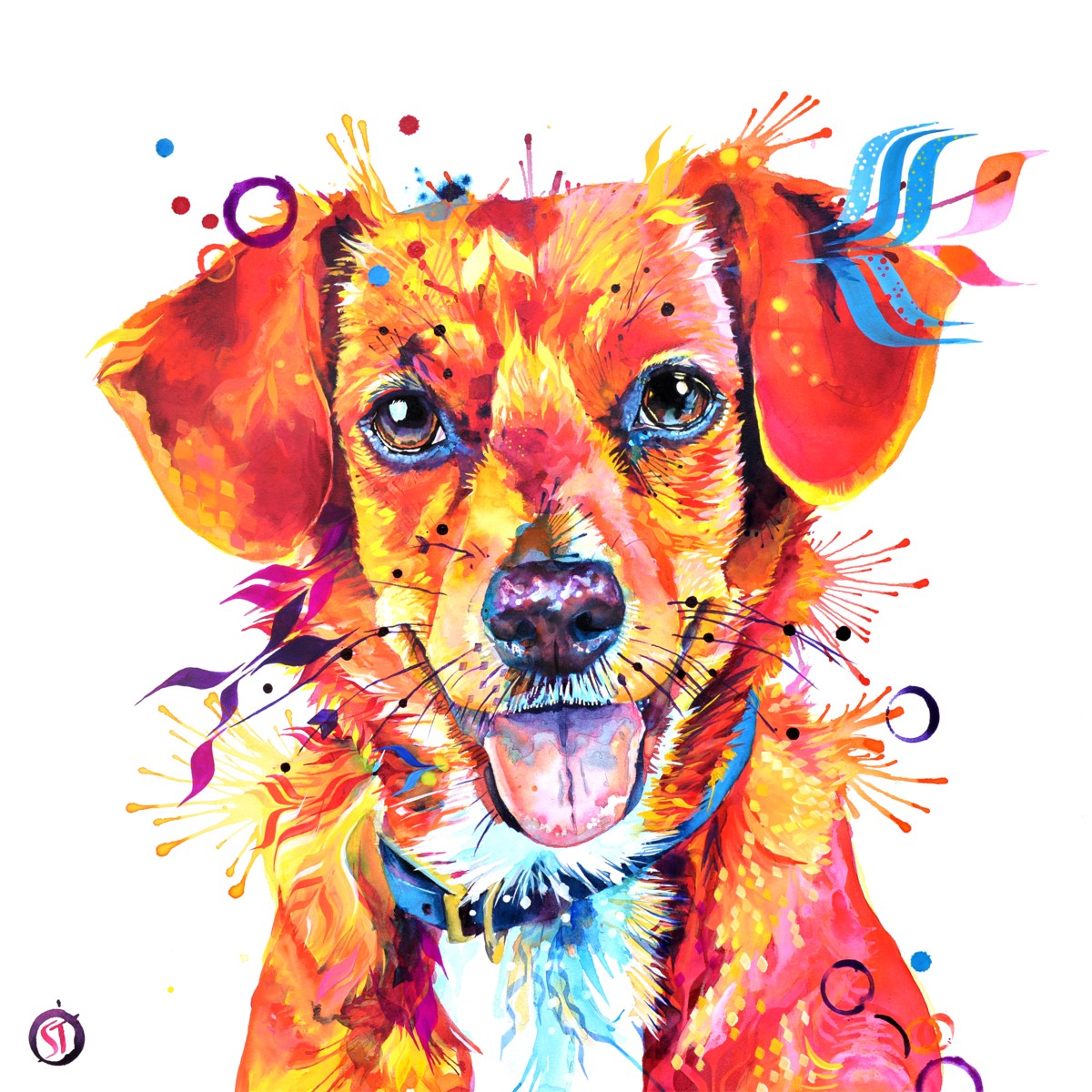 Dora the Beagle Terrier