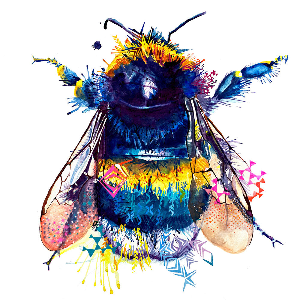 Spring Wildlife Collection