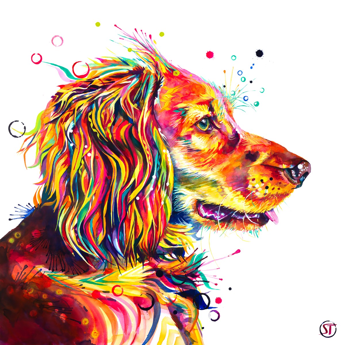 Wesley the Cocker Spaniel