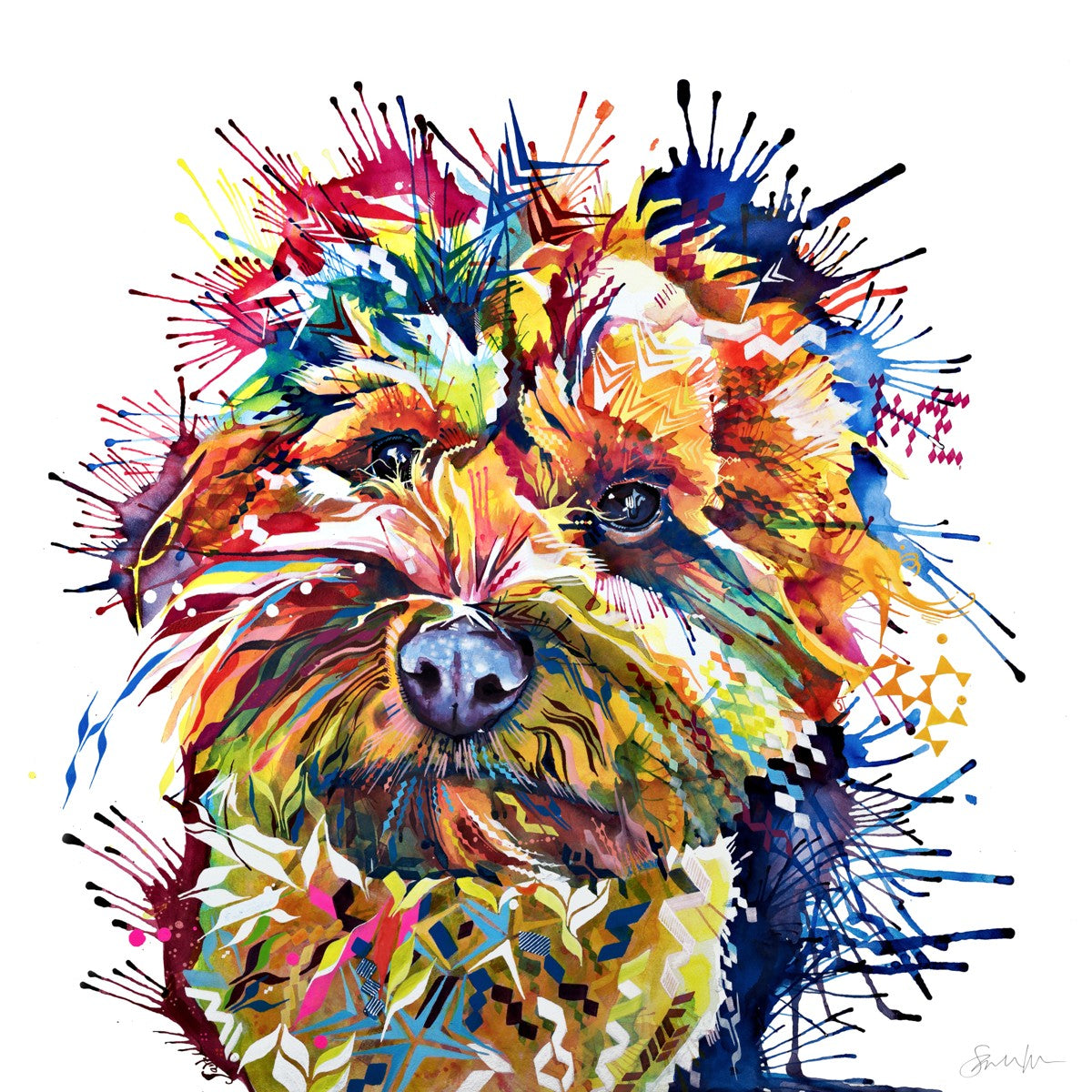 Meemin the Yorkiepoo