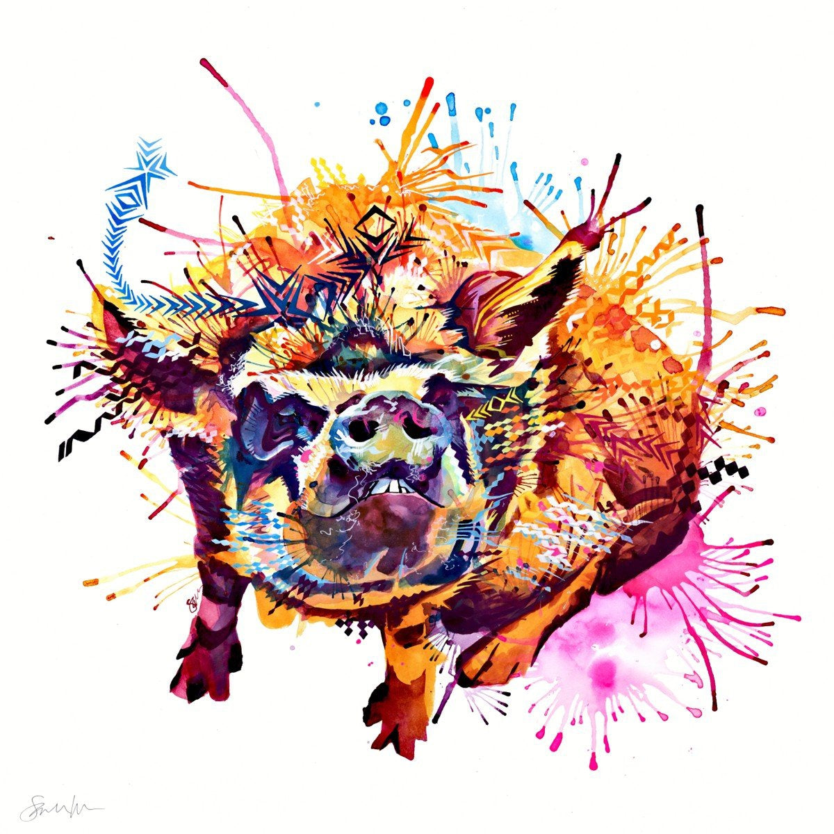 Kune Kune Gladys-Sarah Taylor Art