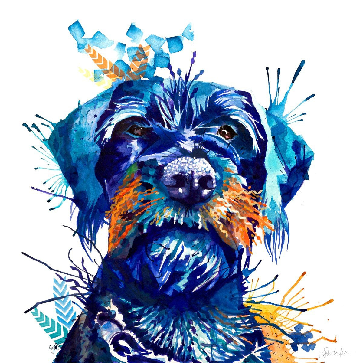 German Wirehair-Sarah Taylor Art