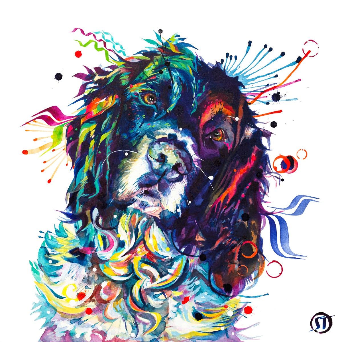 Thorin the Springer Spaniel