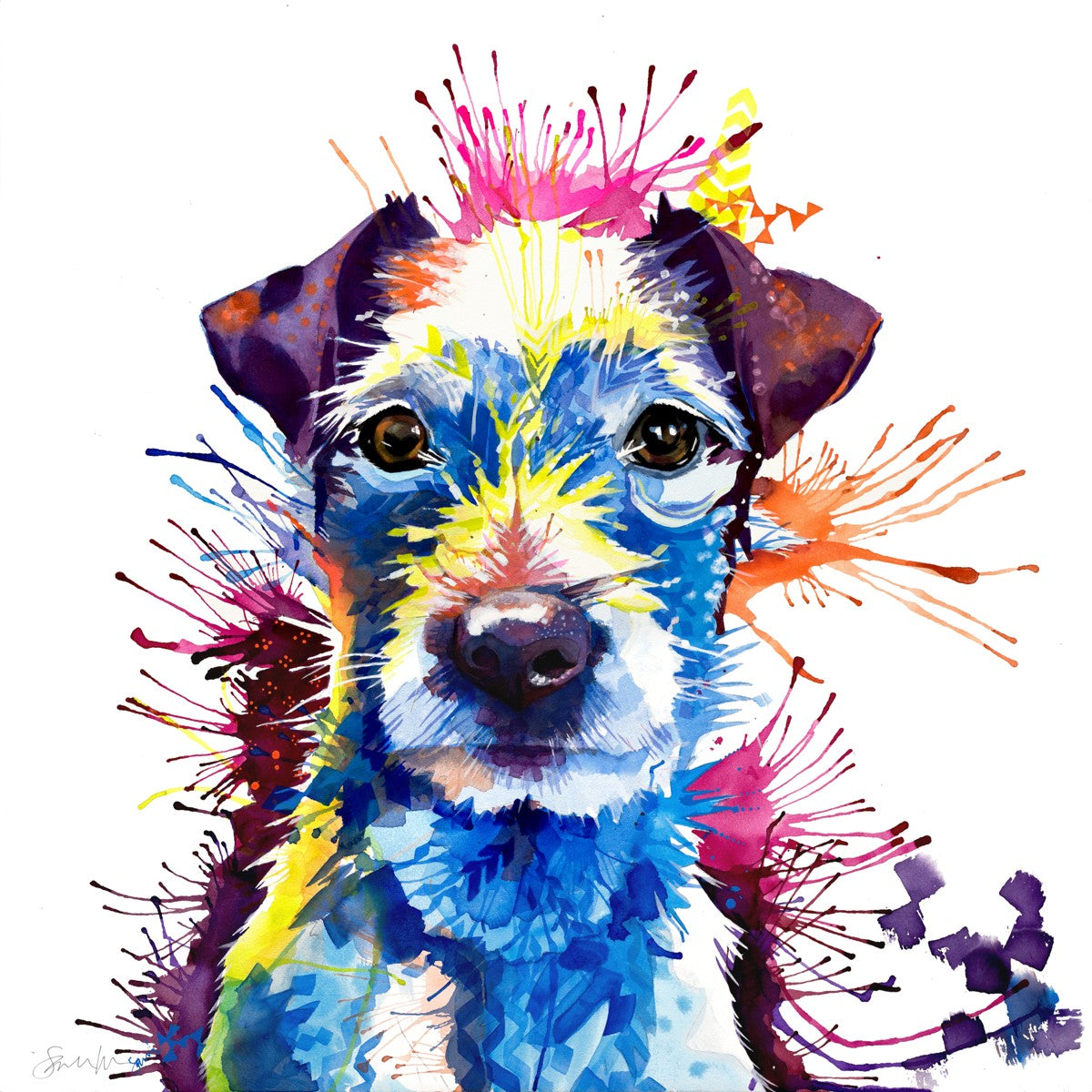 Luzie the Parson Russell Terrier