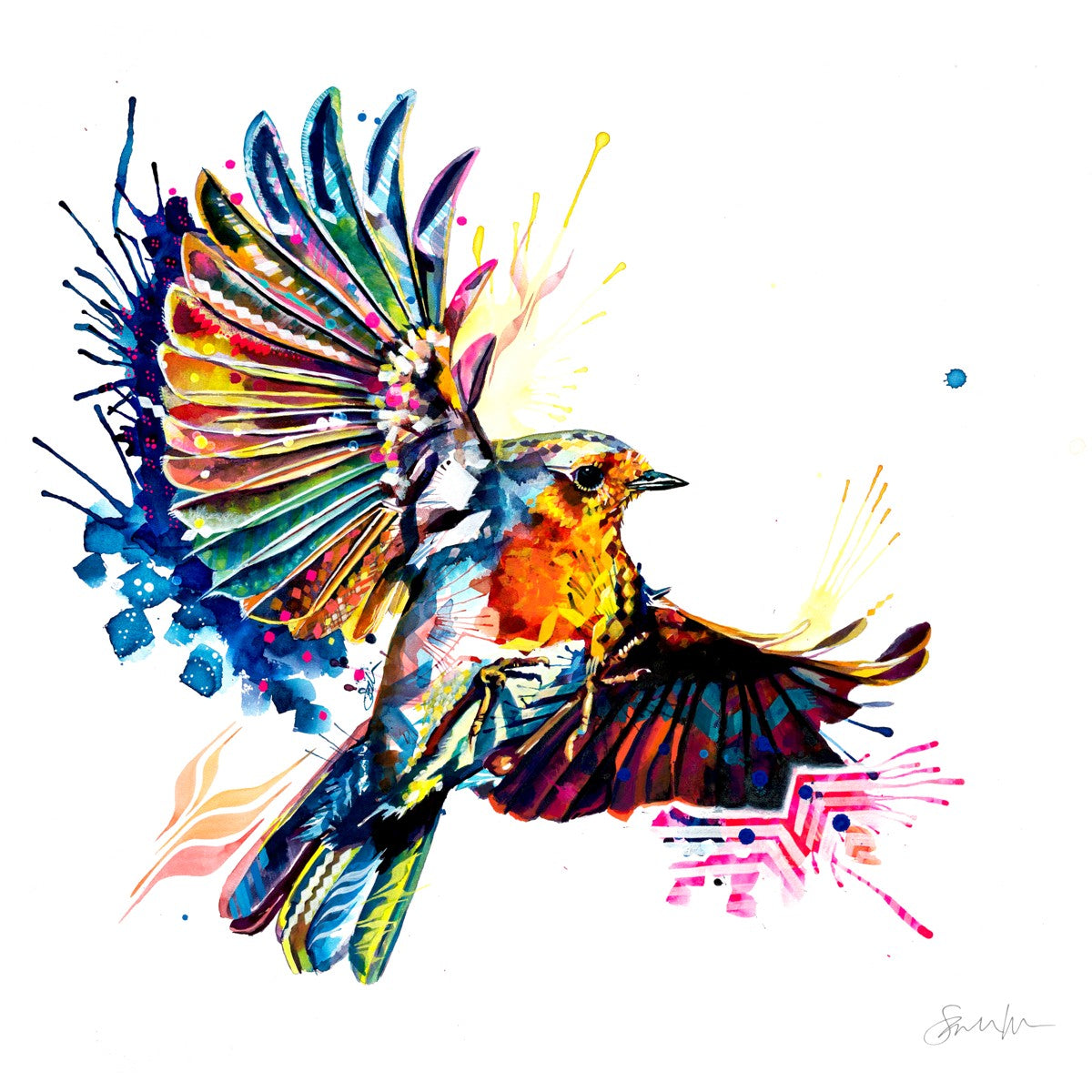 Robbie Dazzler the Robin