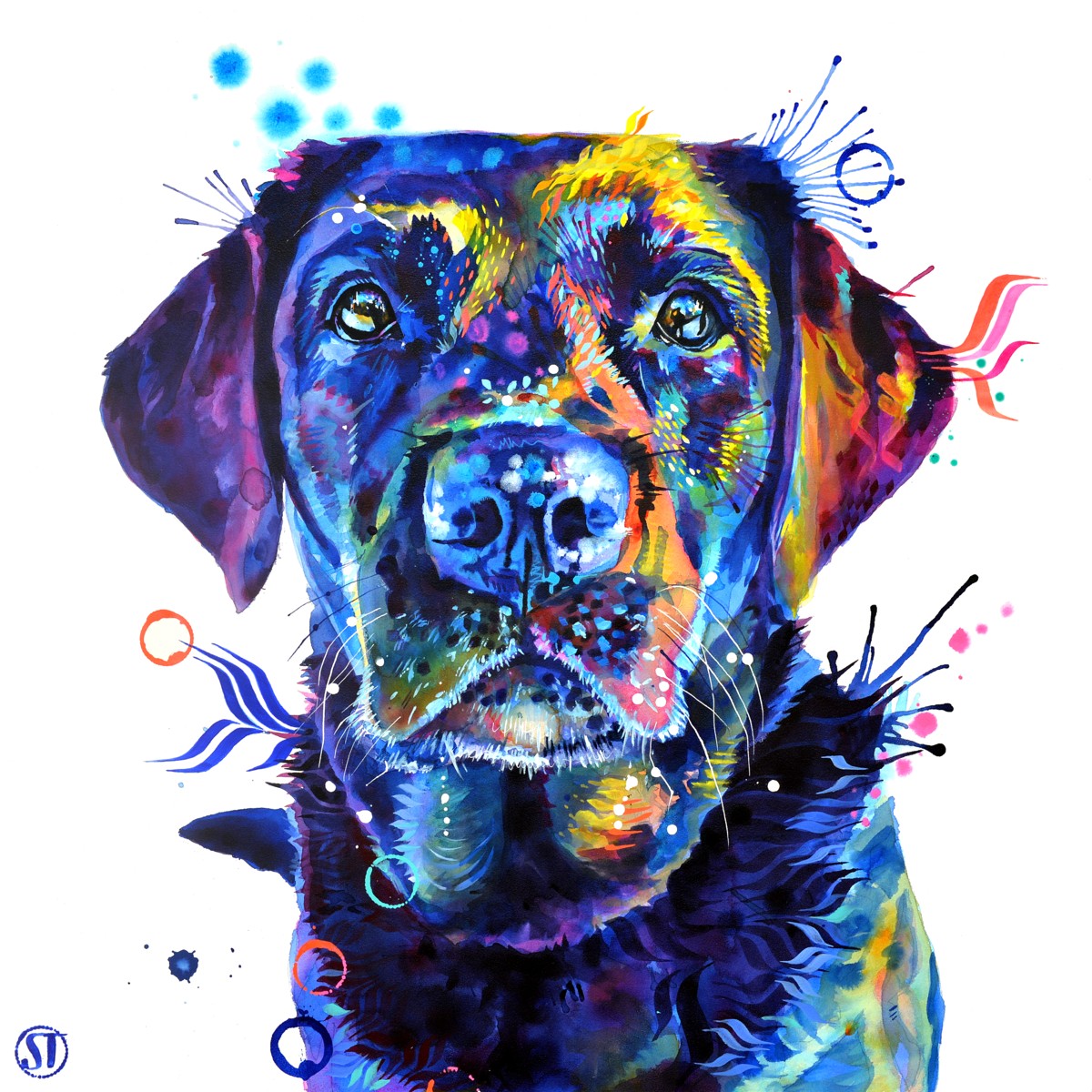 Neli the Black Labrador