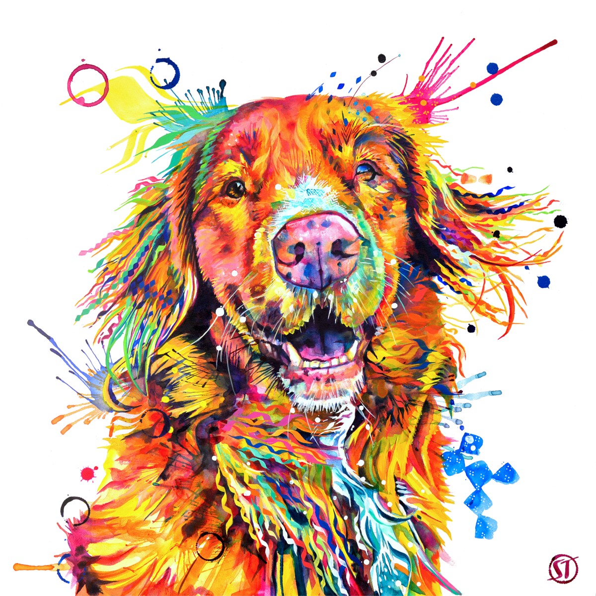 Effy the Duck Toller