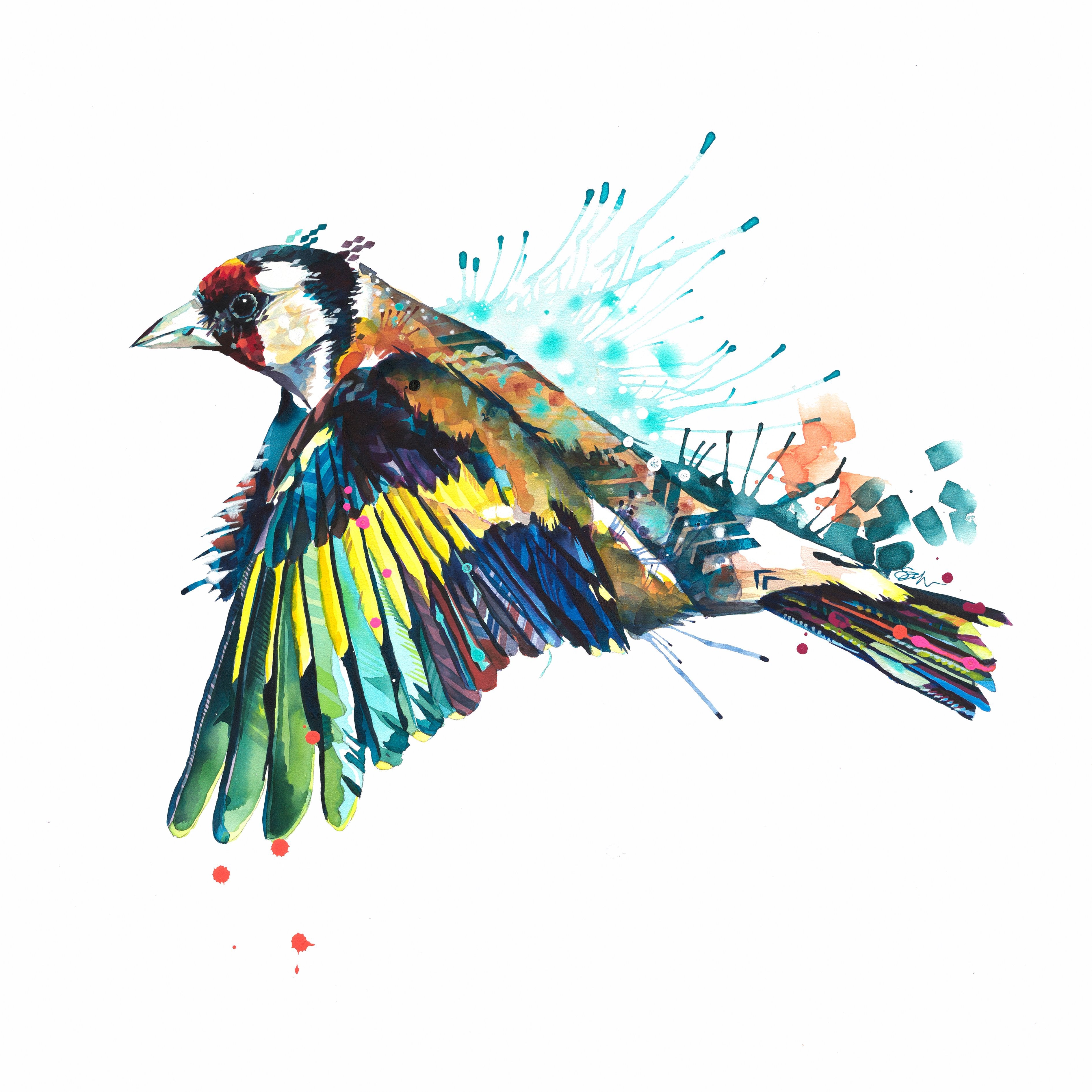 Garden Birds-Sarah Taylor Art