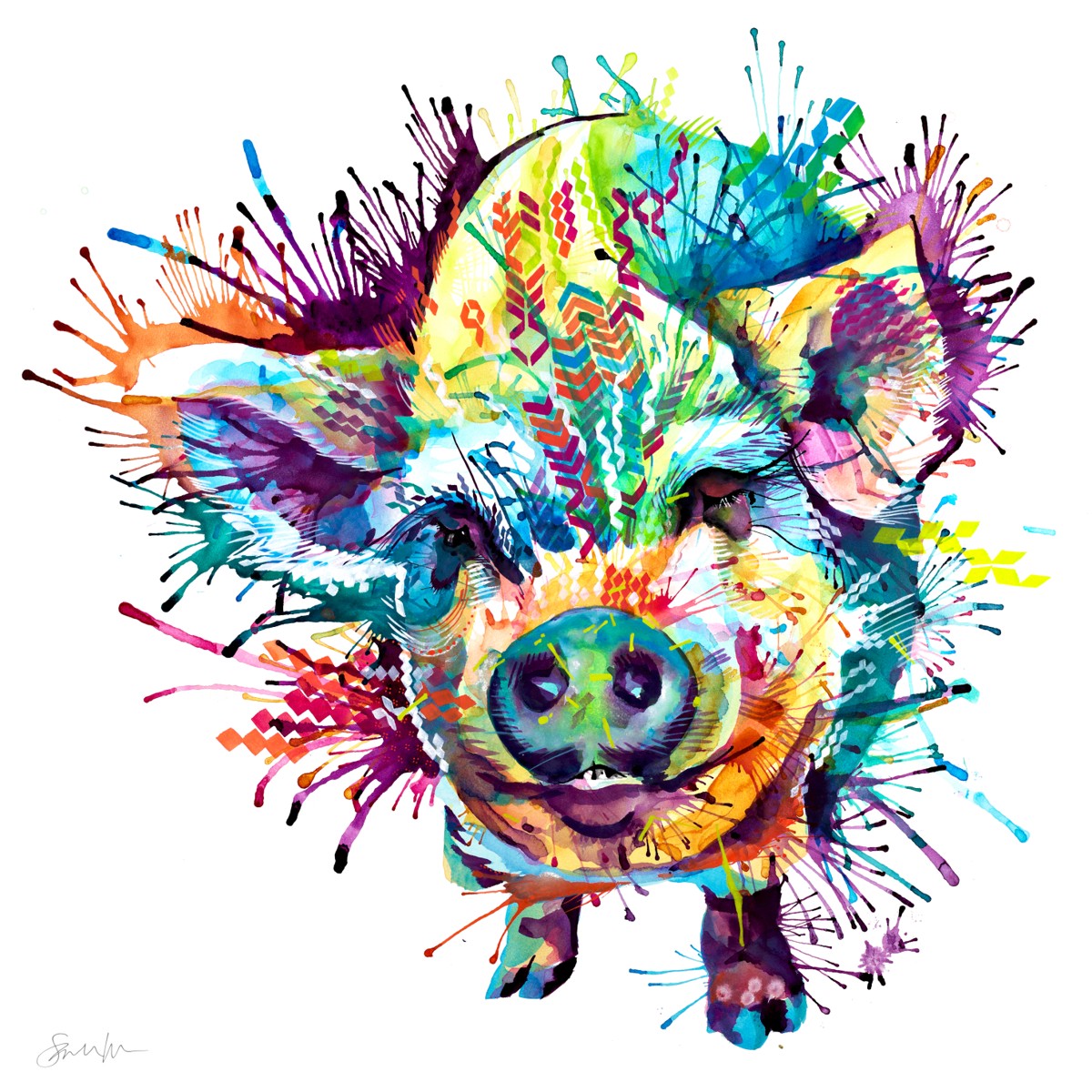 Gloria the Kune Kune Pig