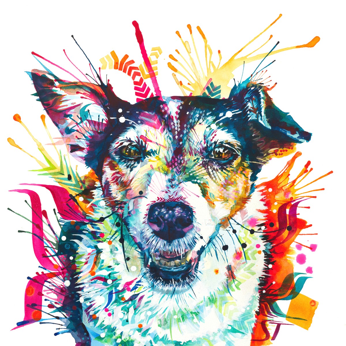 Pippin the Jack Russell