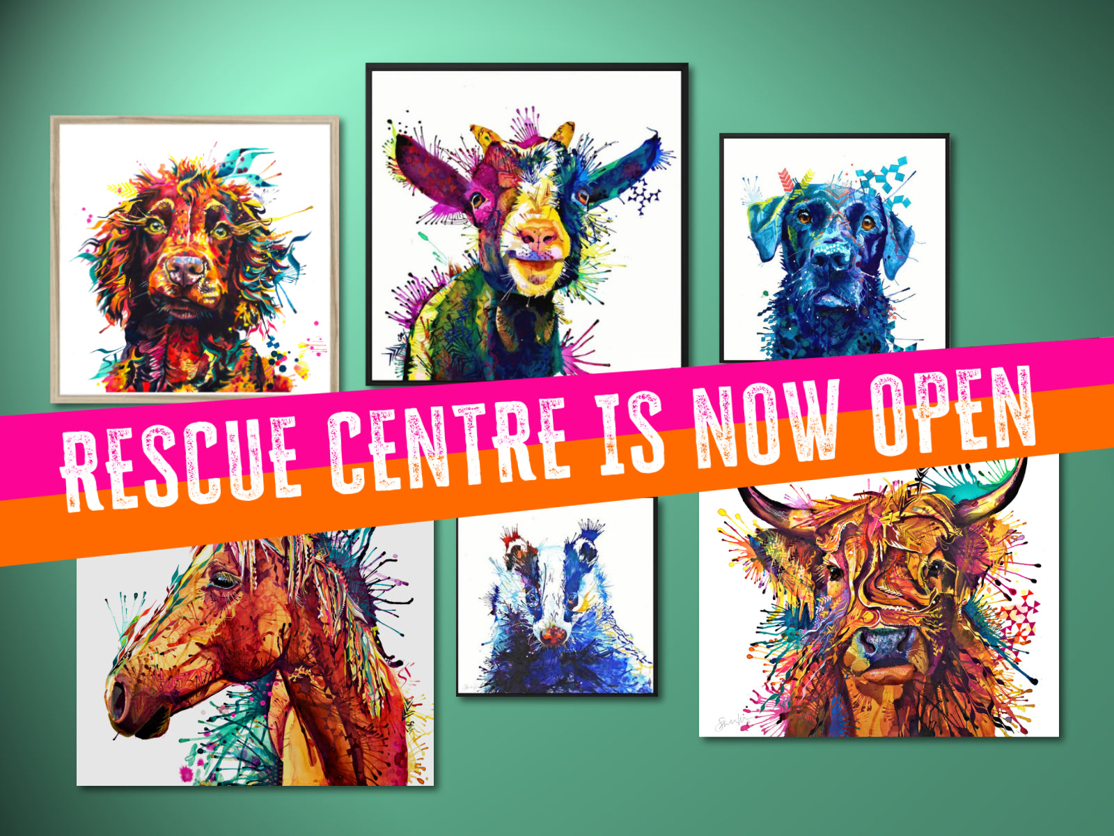 Rescue Centre