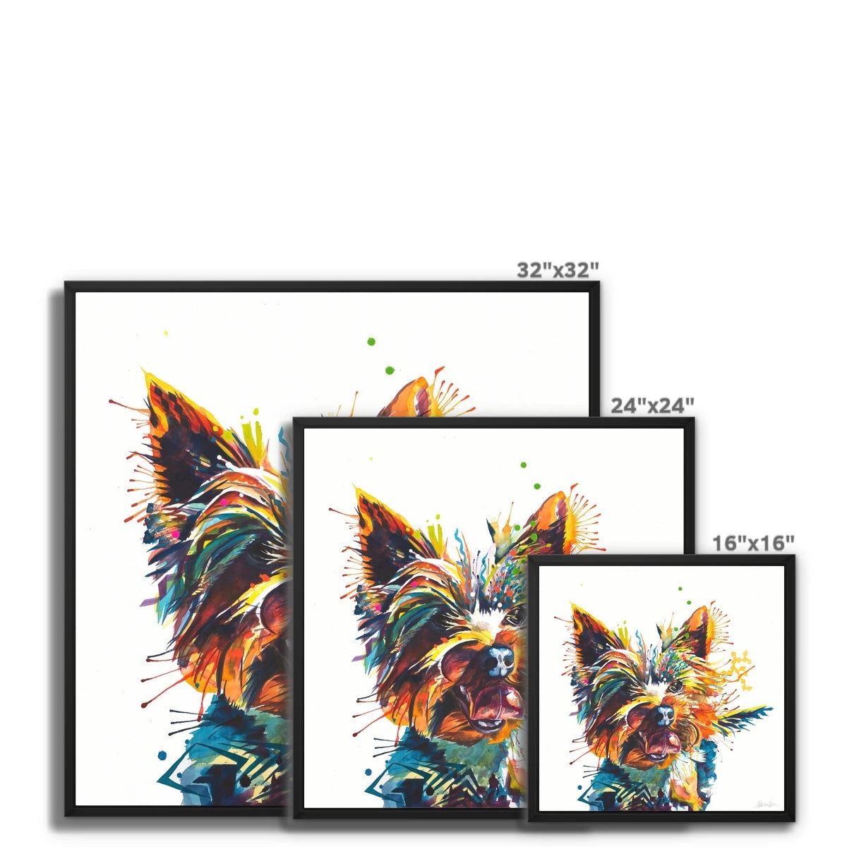 Edward the Yorkie Framed Canvas Sarah Taylor Art