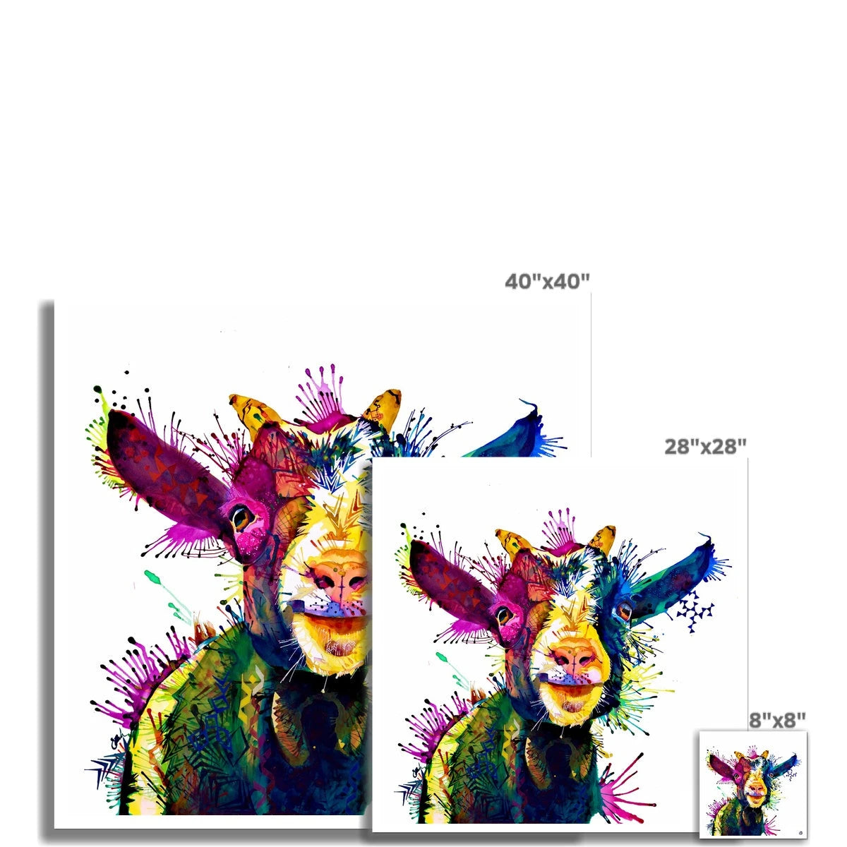 Zeus; King of Goats Fine Art Print Sarah Taylor Art