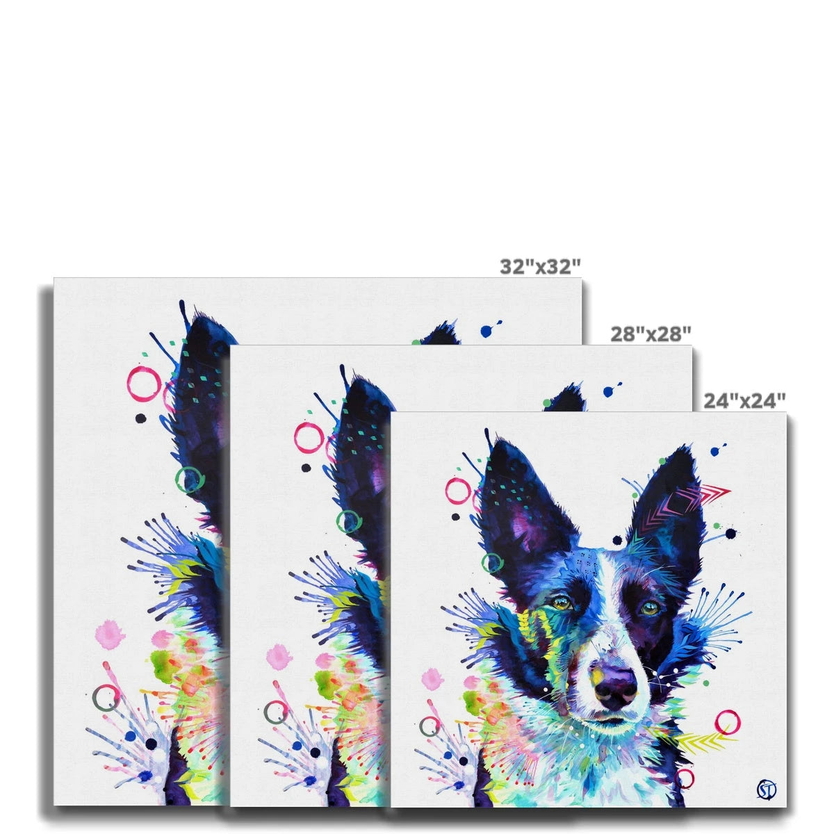 Jess the Border Collie Canvas Sarah Taylor Art