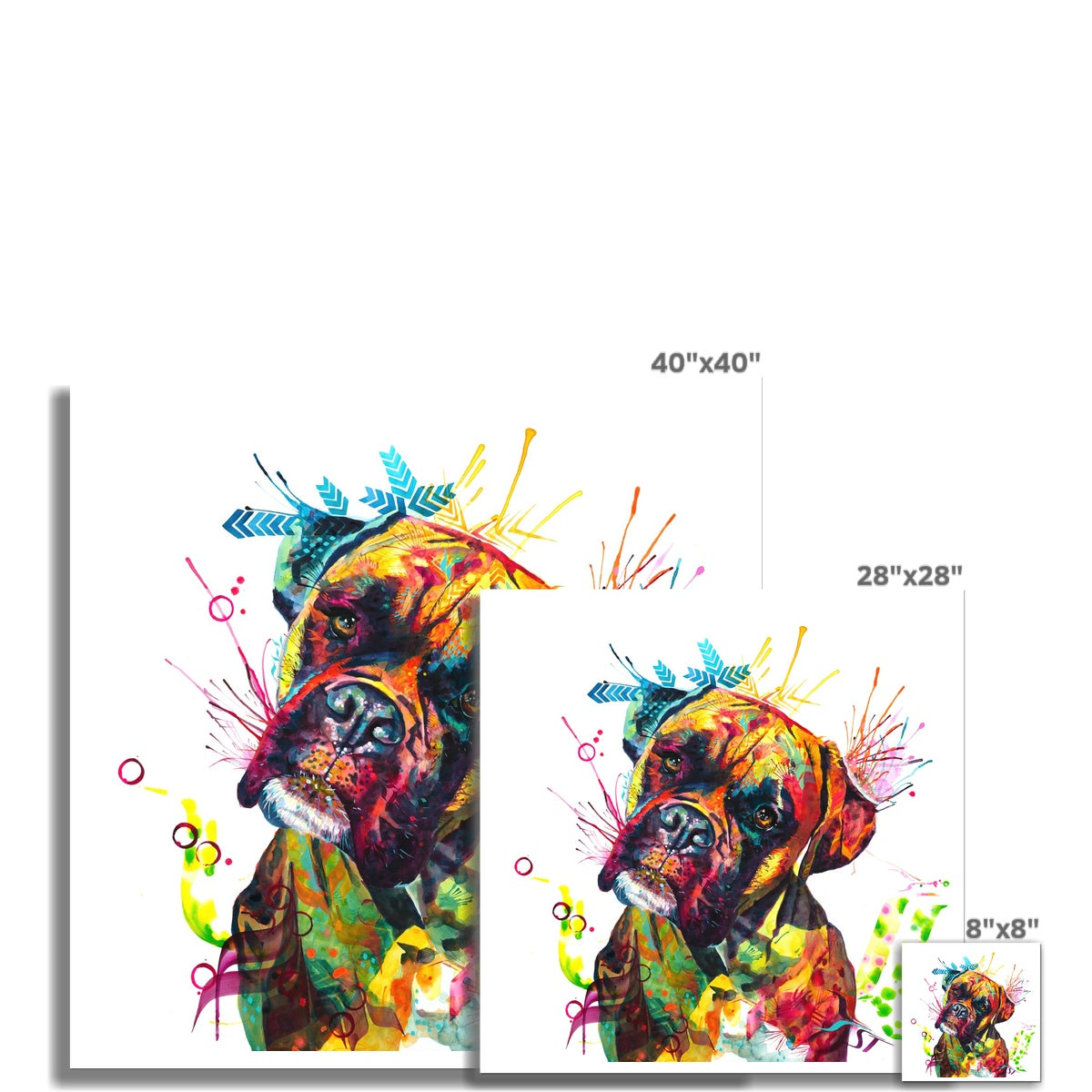 Cooper the Boxer Fine Art Print Sarah Taylor Art