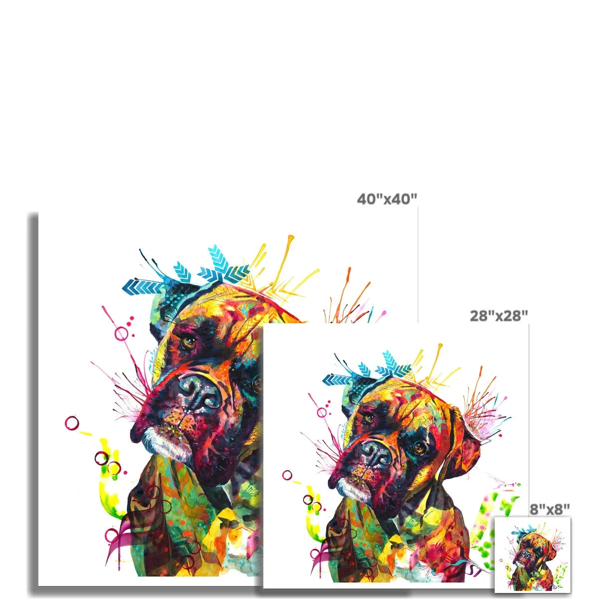 Cooper the Boxer Fine Art Print Sarah Taylor Art