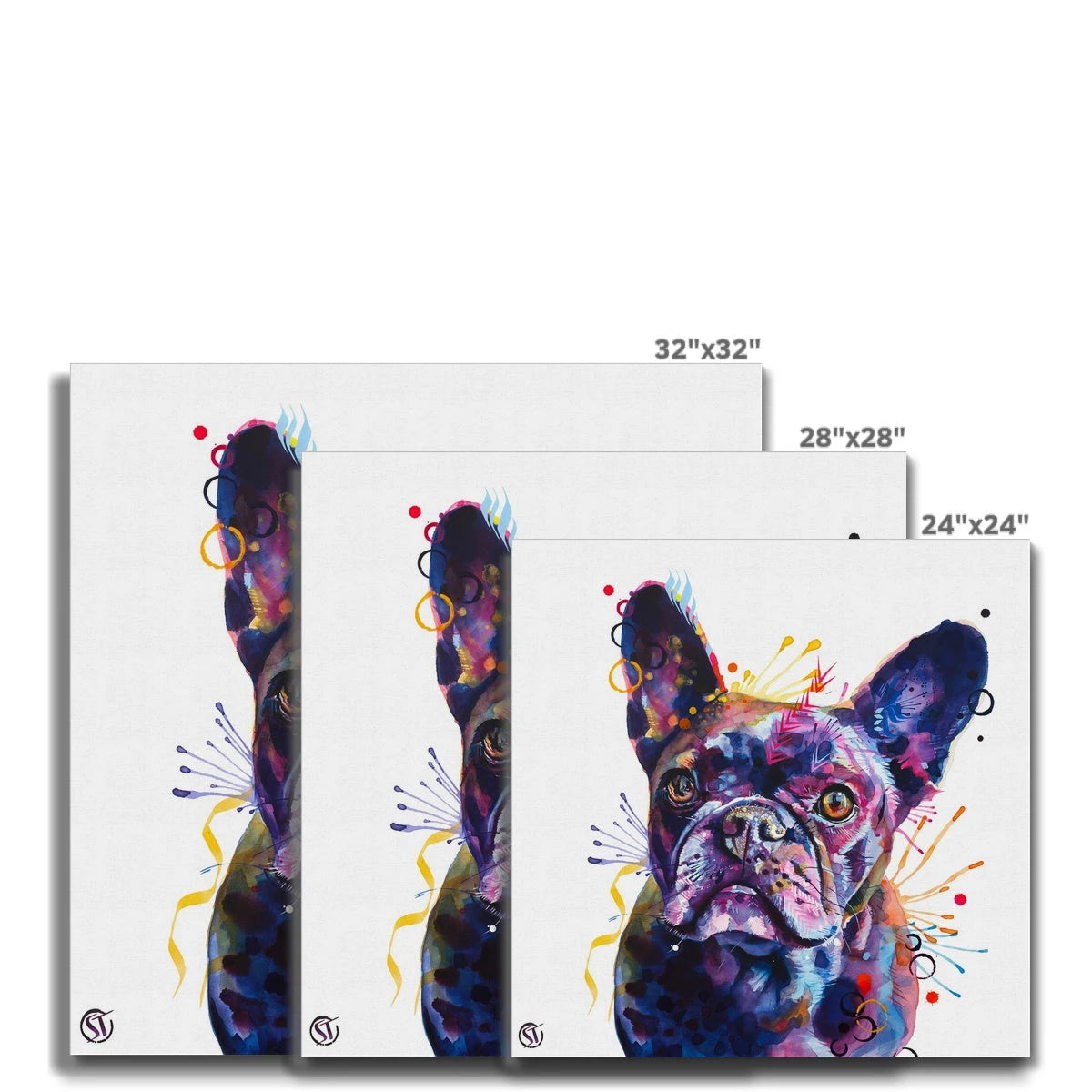 Poppy the Frenchie (French Bulldog) Canvas Sarah Taylor Art