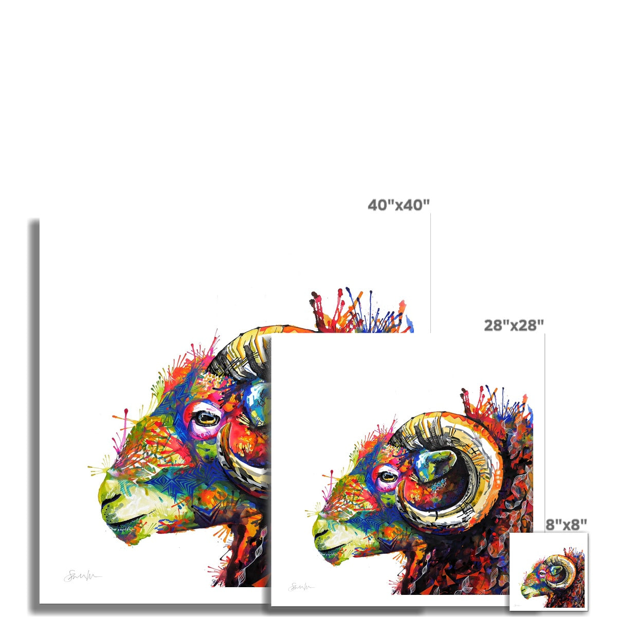 King Arthur the Herdwick Ram Fine Art Print Sarah Taylor Art