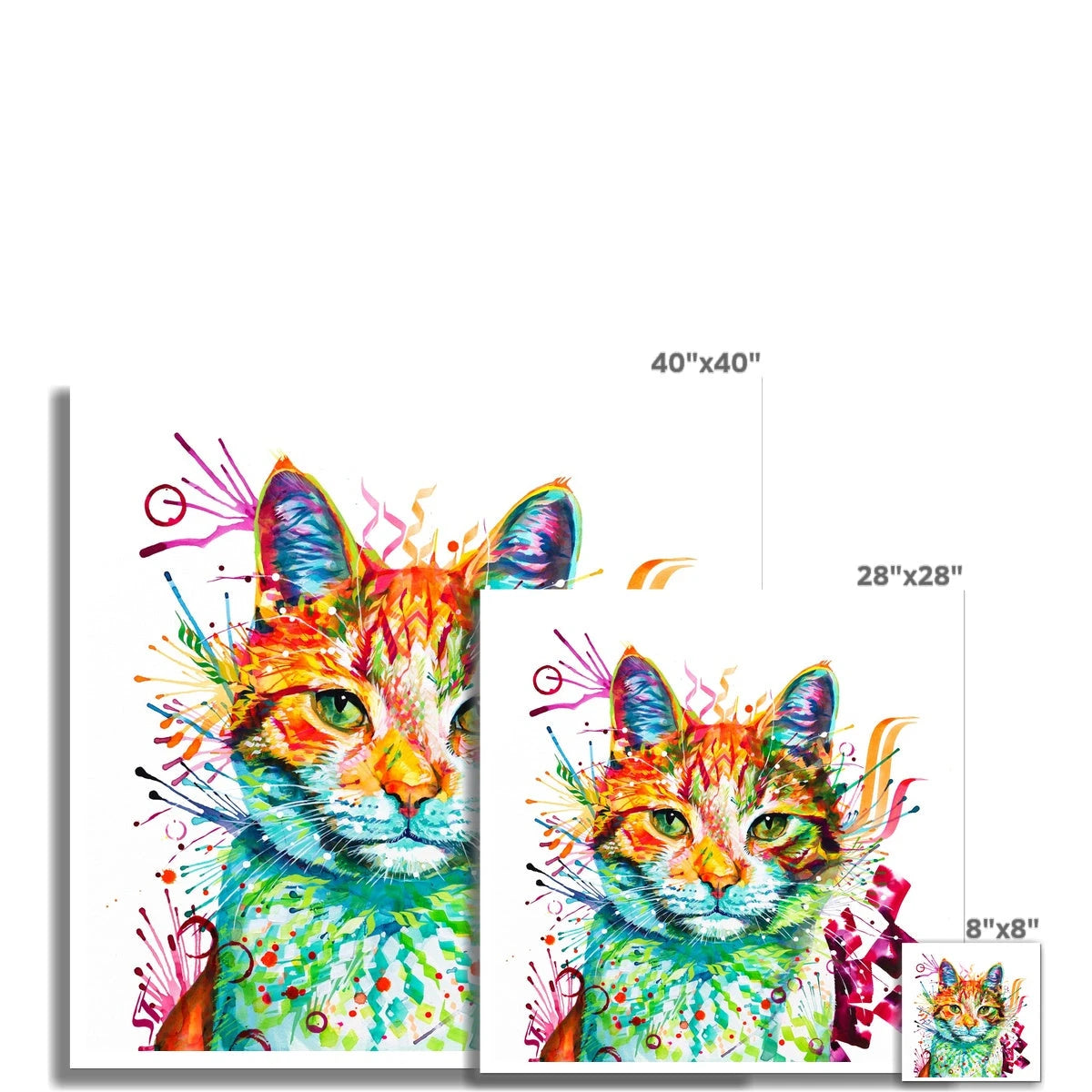 Ziggy the Cat Fine Art Print Sarah Taylor Art