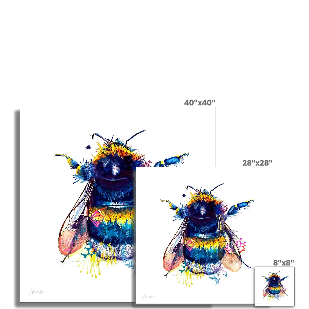 Queen Bee Fine Art Print Sarah Taylor Art