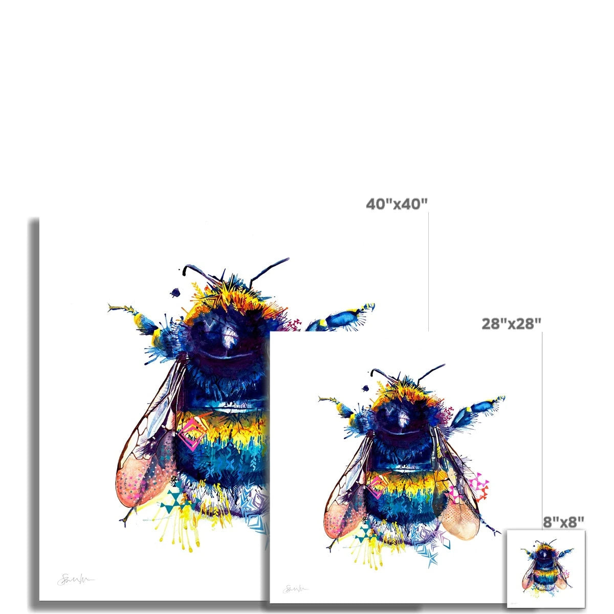 Queen Bee Fine Art Print Sarah Taylor Art