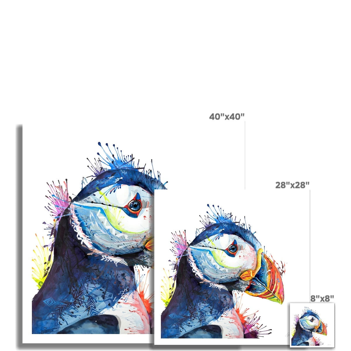 Peter Puffin Fine Art Print Sarah Taylor Art