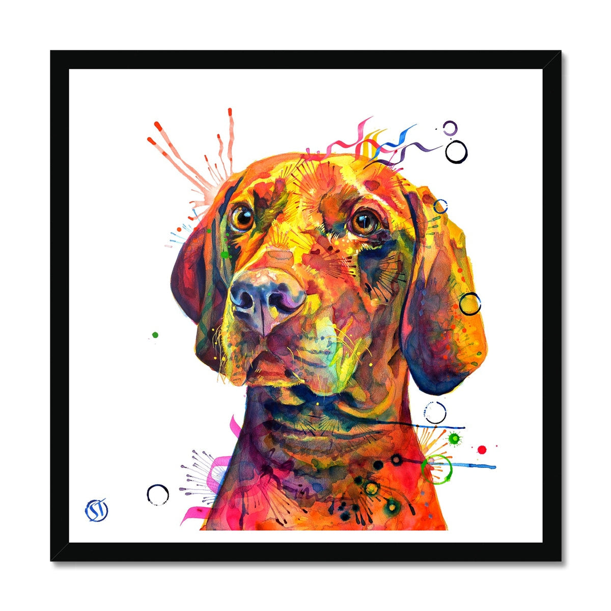 Shilo the Vizsla Framed Print Sarah Taylor Art