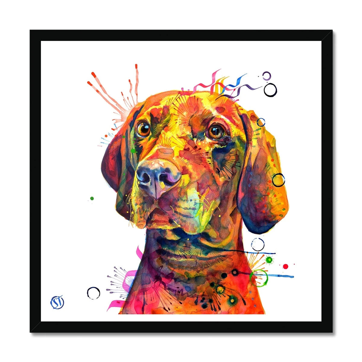 Shilo the Vizsla Framed Print Sarah Taylor Art