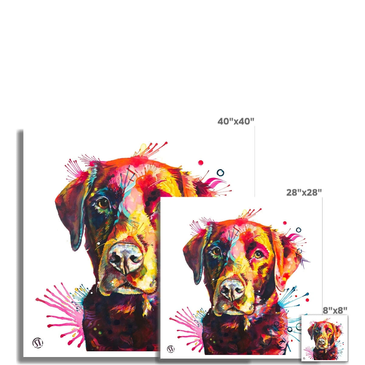 Ivy the Chocolate Labrador Fine Art Print Sarah Taylor Art