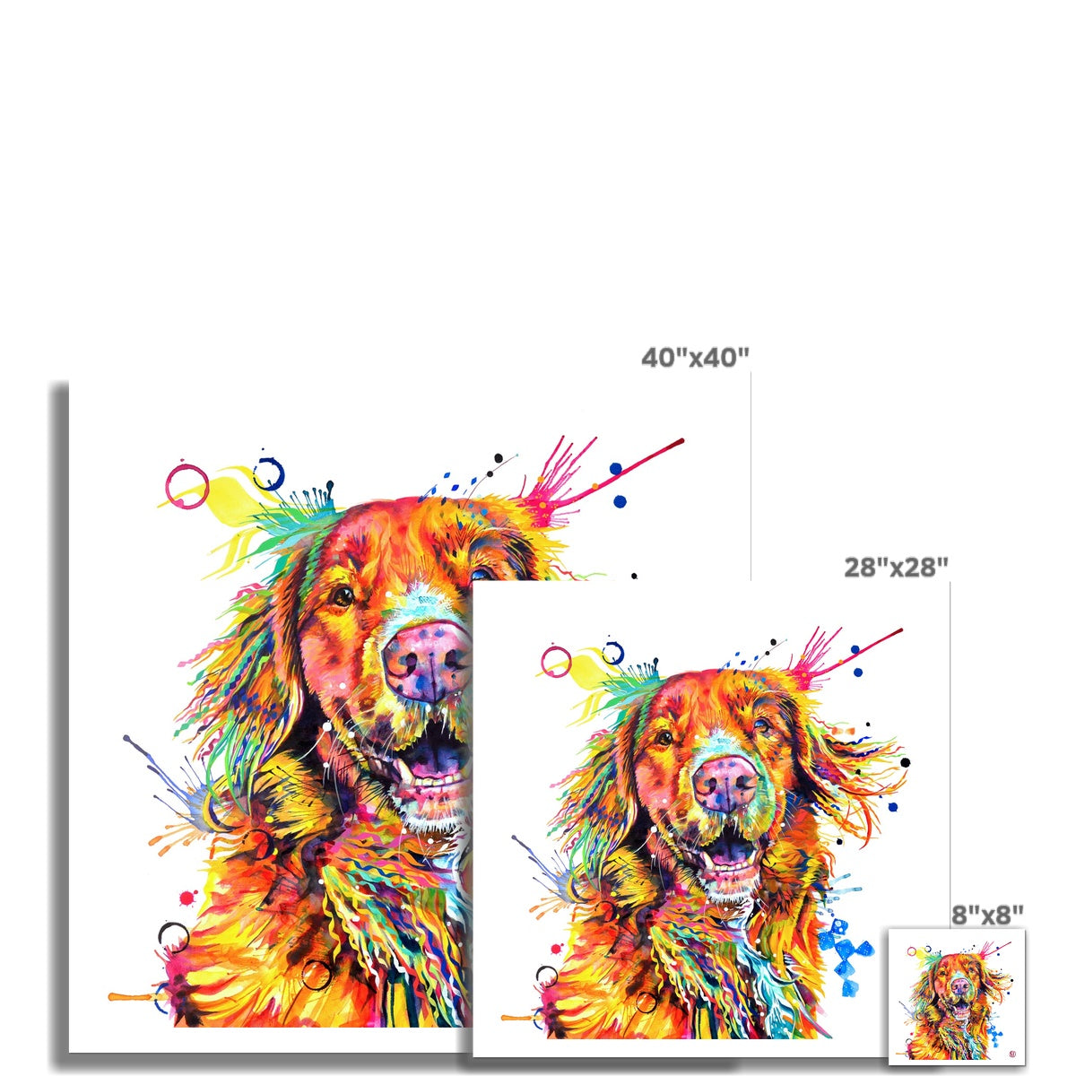 Effy the Duck Toller Fine Art Print Sarah Taylor Art