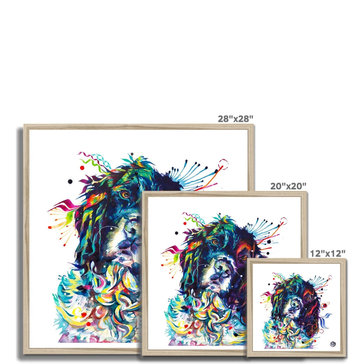 Thorin the Springer Spaniel Framed Print Sarah Taylor Art