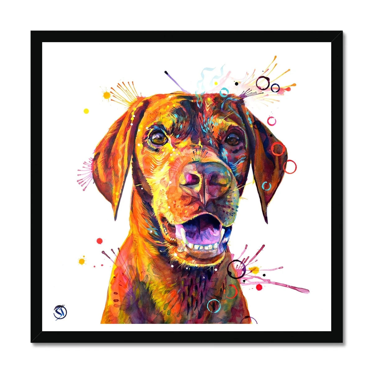 Freo the Vizsla Framed Print Sarah Taylor Art