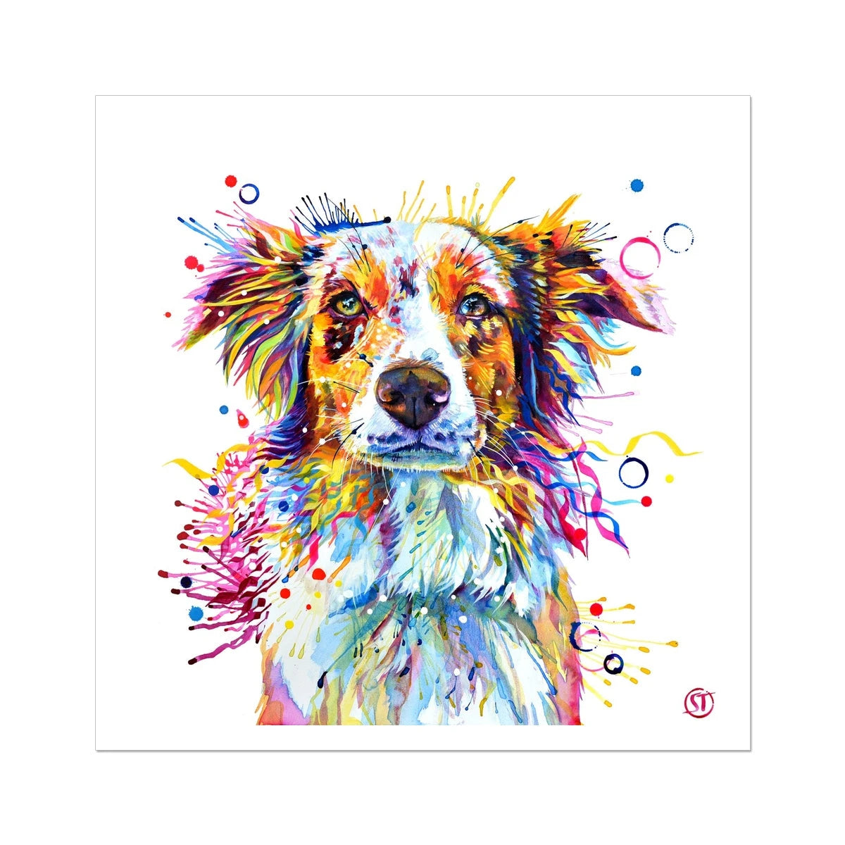 Mabel the Collie Fine Art Print Sarah Taylor Art