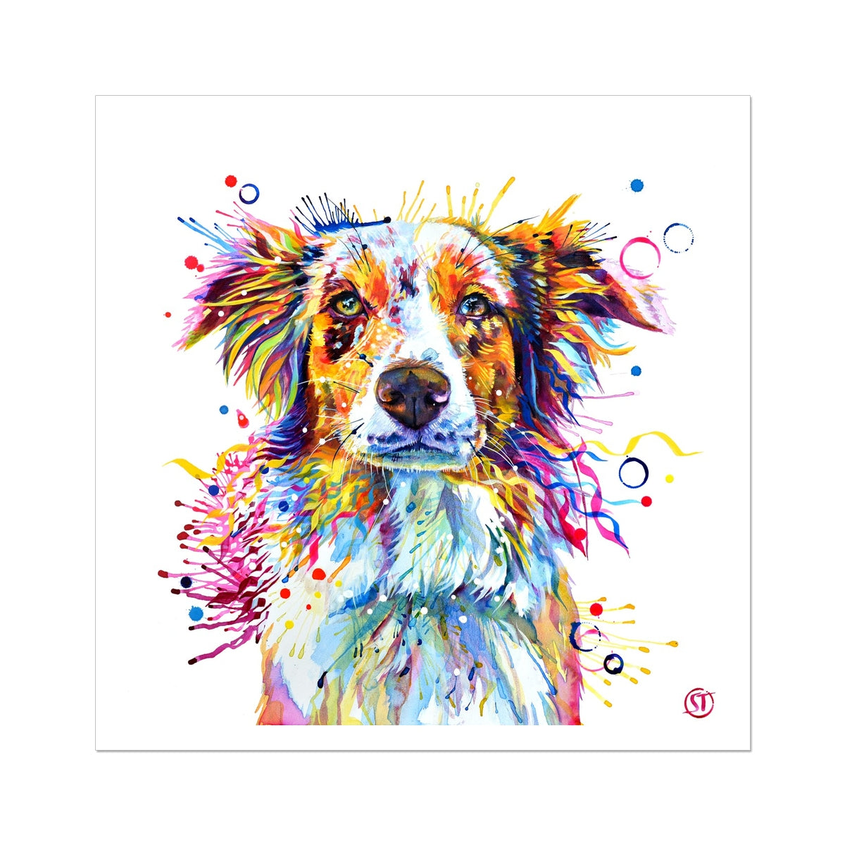 Mabel the Collie Fine Art Print Sarah Taylor Art