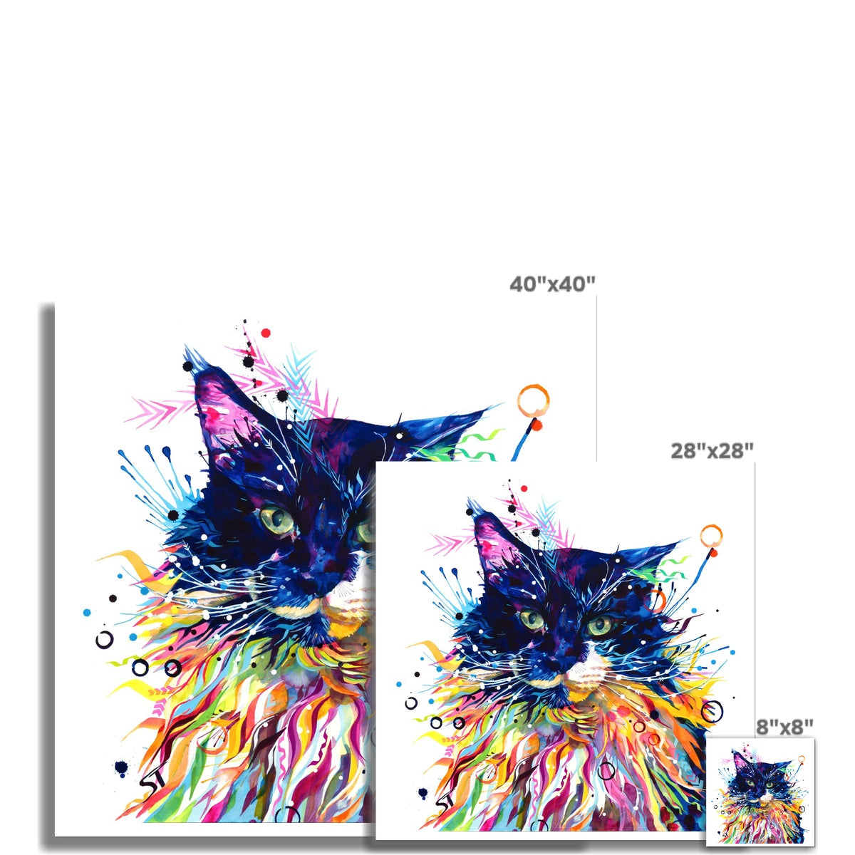 Franklin the Cat Fine Art Print Sarah Taylor Art