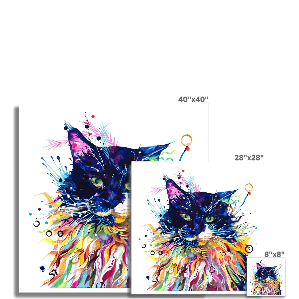 Franklin the Cat Fine Art Print Sarah Taylor Art