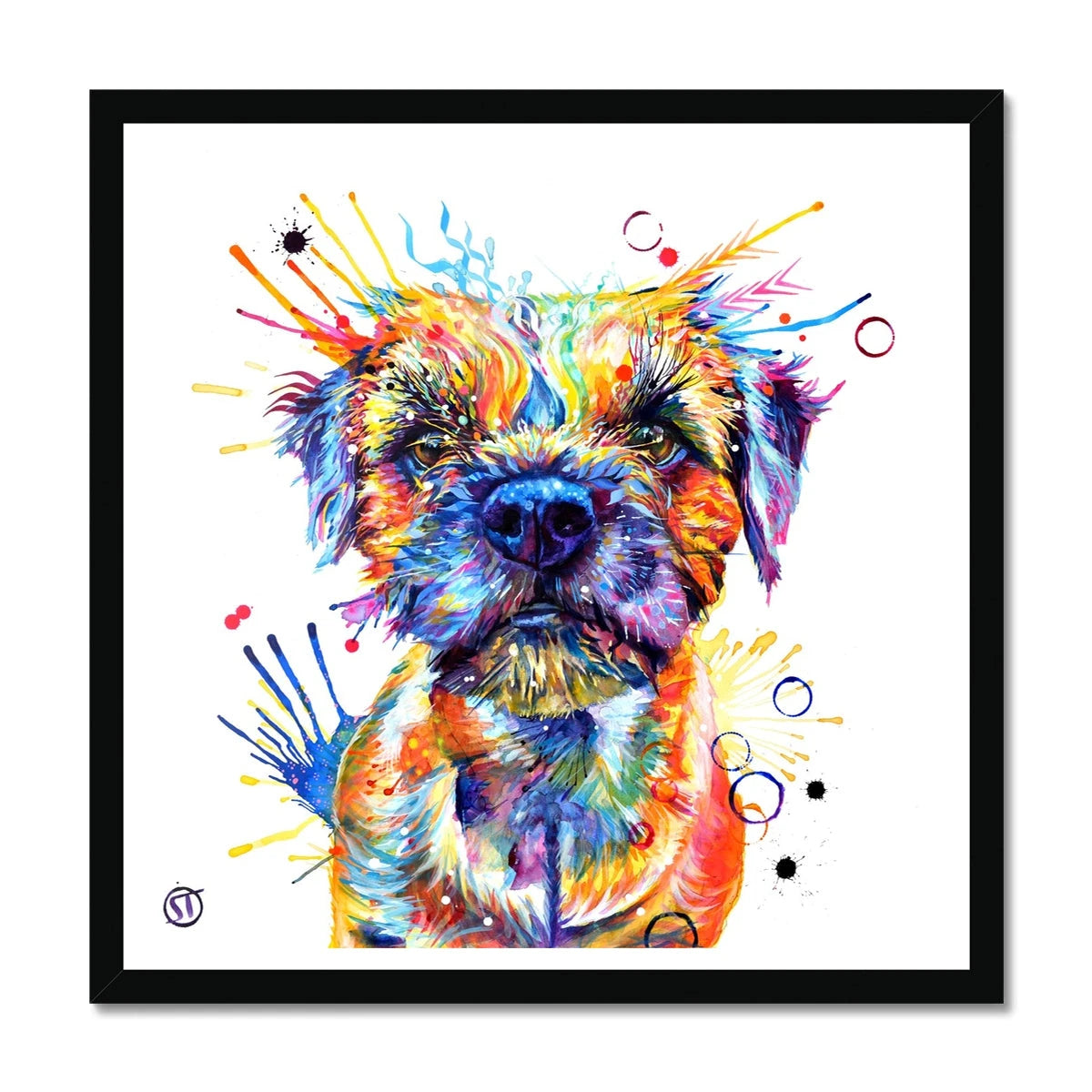 Allan the Border Terrier Framed Print Sarah Taylor Art
