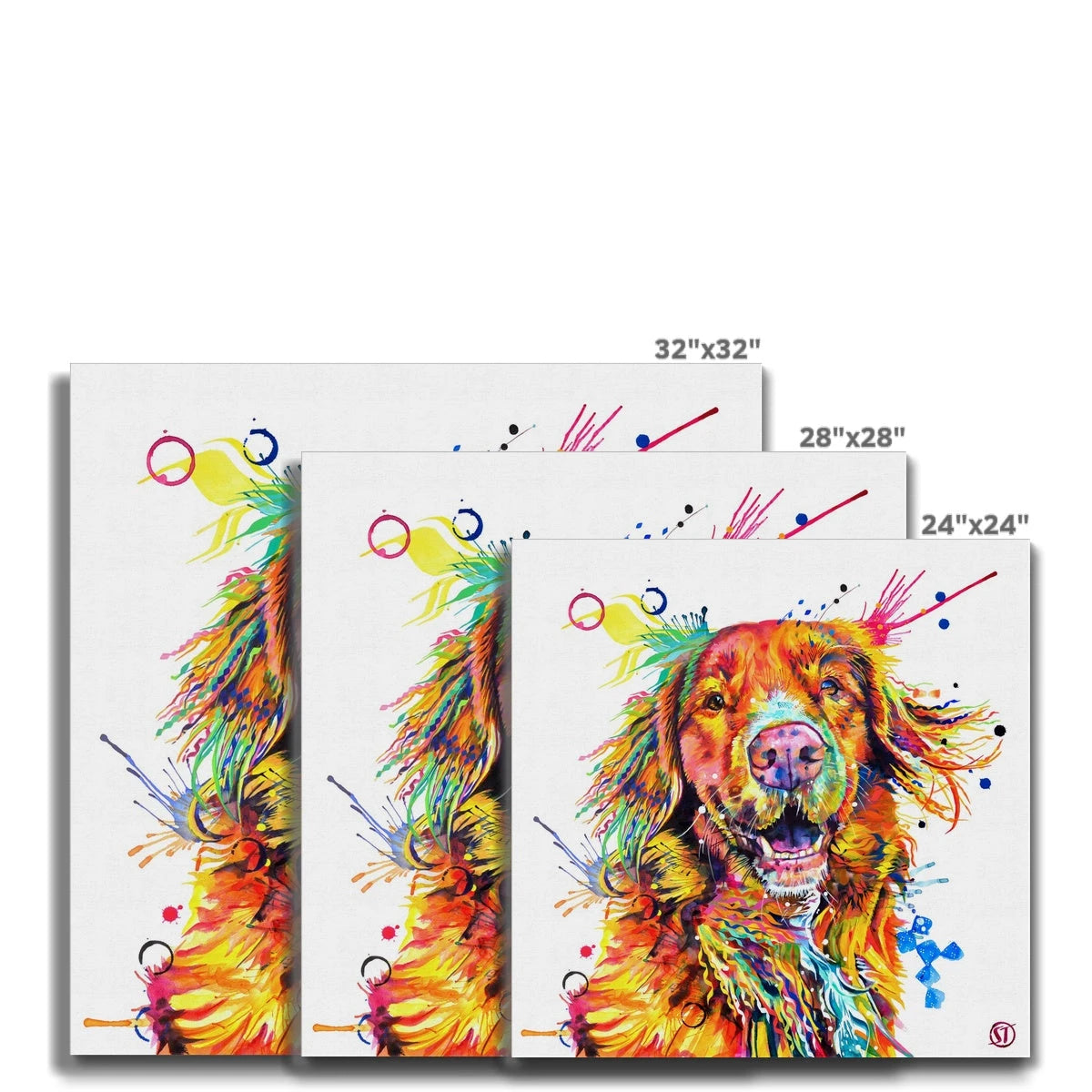 Effy the Duck Toller Canvas Sarah Taylor Art