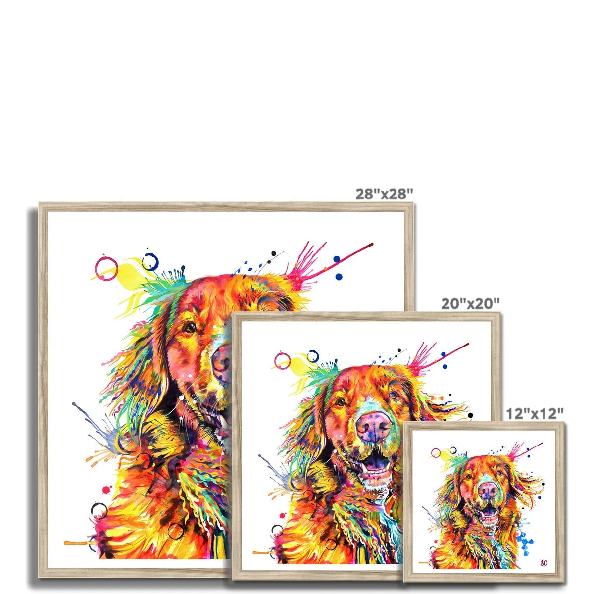Effy the Duck Toller Framed Print Sarah Taylor Art
